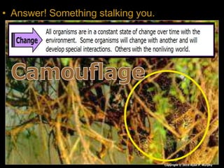 • Answer! Something stalking you.
Copyright © 2010 Ryan P. Murphy
 