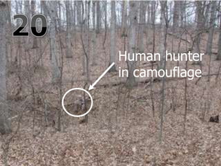 Human hunter
in camouflage
 