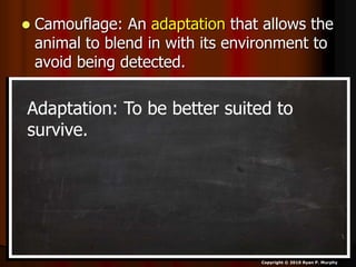  Camouflage: An adaptation that allows the
animal to blend in with its environment to
avoid being detected.
Copyright © 2010 Ryan P. Murphy
Adaptation: To be better suited to
survive.
 