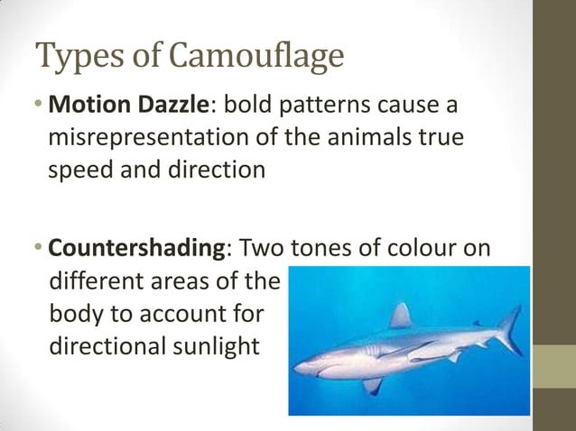 camouflage-and-mimicry-evolution-power-point-ppt