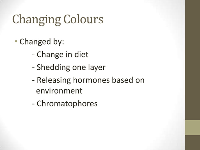 camouflage-and-mimicry-evolution-power-point-ppt