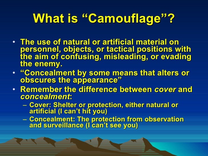 Camouflage for the patriot