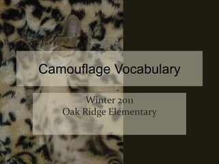 Camouflage Vocabulary Winter 2011Oak Ridge Elementary 