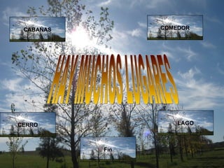 HAY MUCHOS LUGARES CABAÑAS LAGO COMEDOR CERRO Fin 