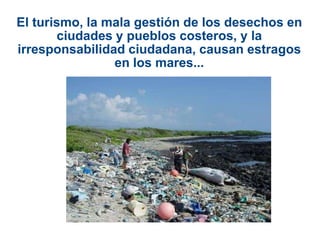 El turismo, la mala gestión de los desechos en
       ciudades y pueblos costeros, y la
irresponsabilidad ciudadana, causan estragos
                en los mares...
 