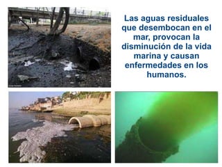 Las aguas residuales
que desembocan en el
   mar, provocan la
disminución de la vida
   marina y causan
 enfermedades en los
      humanos.
 