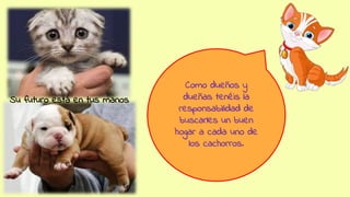 Como dueños y
dueñas tenéis la
responsabilidad de
buscarles un buen
hogar a cada uno de
los cachorros.
Su futuro está en tus manos
 