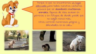 Porque el que no encontremos un hogar
adecuado para todos nuestros cachorros
provoca que se abandonen muchísimos
animales. Algunos de ellos acaban en
perreras o en refugios de donde puede que
no salgan nunca más.
Otros correrán numerosos peligros y
dificultades en la calle…
 