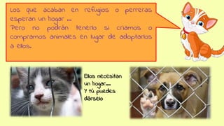 Los que acaban en refugios o perreras
esperan un hogar …
Pero no podrán tenerlo si criamos o
compramos animales en lugar de adoptarlos
a ellos.
Ellos necesitan
un hogar….
Y tú puedes
dárselo
 