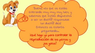 Bueno, veo que os estáis
enterando muy muy muy bien, y
sabemos que estáis dispuestos
a ser un dueñ@ responsable
¡un dueñ@ diez!
Entonces os estaréis
preguntando…
¿Qué hago yo para controlar la
reproducción de los perros y
los gatos?
 