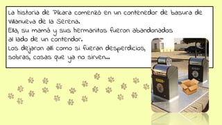 La historia de Píkara comenzó en un contenedor de basura de
Villanueva de la Serena.
Ella, su mamá y sus hermanitos fueron abandonados
al lado de un contendor.
Los dejaron allí como si fueran desperdicios,
sobras, cosas que ya no sirven…
 