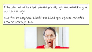 Entonces una señora que pasaba por allí, oyó sus maullidos y se
acercó a la caja
Cual fue su sorpresa cuando descubrió que aquellos maullidos
eran de varios gatitos.
 