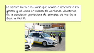 La señora llamó a la policía que acudió a rescatar a los
gatitos y los puso en manos de personas voluntarias
de la asociación protectora de animales de Vva de la
Serena, ANIMA.
 