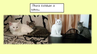 Ahora estaban a
salvo…
 