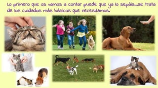 Lo primero que os vamos a contar puede que ya lo sepáis...se trata
de los cuidados más básicos que necesitamos.
 