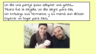 Un día una pareja quiso adoptar una gatita…
Píkara fue la elegida. Un día alegre para ella;
sin embargo sus hermanos y su mamá aun debían
esperar un hogar para ellos.
 