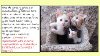 Miles de gatos y gatas son
abandonados y además tiene
miles de crías en la calle, y
estas crías otras nuevas crías
y así hasta haber miles y
millones de animales intentando
sobrevivir en las calles. Gatos y
gatas sin hogar.
Tú ya sabes cual es la
solución controlar su
reproducción para evitar la
superpoblación y el abandono.
ESTERILIZA, NO COMPRES Y
ADOPTA
 