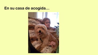 En su casa de acogida…
 