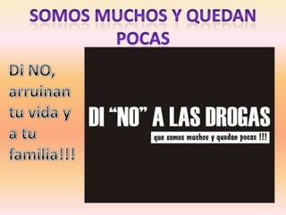 Campaña antidroga queirolo anto 2°1° (1)