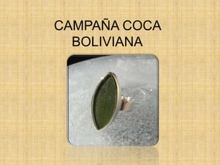 CAMPAÑA COCA BOLIVIANA 