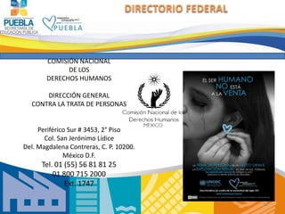 DIRECTORIO FEDERAL



       COMISIÓN NACIONAL
             DE LOS
       DERECHOS HUMANOS

      DIRECCIÓN GENERAL
  CONT...