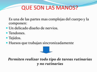QUE SON LAS MANOS?
Es una de las partes mas complejas del cuerpo y la
componen:
 Un delicado diseño de nervios.
 Tendones.
 Tejidos.
 Huesos que trabajan sincronizadamente
Permiten realizar todo tipo de tareas rutinarias
y no rutinarias
 