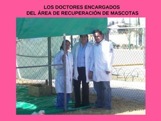 LOS DOCTORES ENCARGADOS  DEL ÁREA DE RECUPERACIÓN DE MASCOTAS 