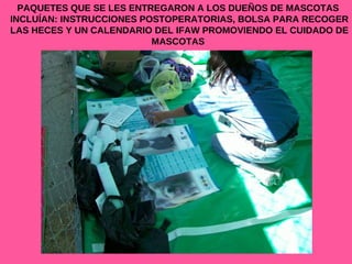 PAQUETES QUE SE LES ENTREGARON A LOS DUEÑOS DE MASCOTAS  INCLUÍAN: INSTRUCCIONES POSTOPERATORIAS, BOLSA PARA RECOGER LAS HECES Y UN CALENDARIO DEL IFAW PROMOVIENDO EL CUIDADO DE MASCOTAS  