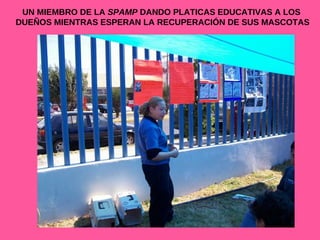 UN MIEMBRO DE LA  SPAMP  DANDO PLATICAS EDUCATIVAS A LOS DUEÑOS MIENTRAS ESPERAN LA RECUPERACIÓN DE SUS MASCOTAS 
