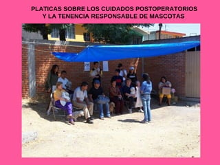 PLATICAS SOBRE LOS CUIDADOS POSTOPERATORIOS Y LA TENENCIA RESPONSABLE DE MASCOTAS  