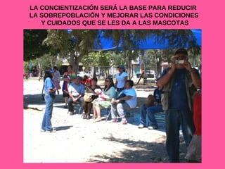 LA CONCIENTIZACIÓN SERÁ LA BASE PARA REDUCIR  LA SOBREPOBLACIÓN Y MEJORAR LAS CONDICIONES Y CUIDADOS QUE SE LES DA A LAS MASCOTAS 