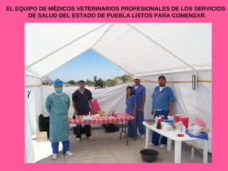 EL EQUIPO DE MÉDICOS VETERINARIOS PROFESIONALES DE LOS SERVICIOS DE SALUD DEL ESTADO DE PUEBLA LISTOS PARA COMENZAR 