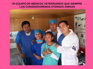UN EQUIPO DE MÉDICOS VETERINARIOS QUE SIEMPRE  LOS CONSIDERAREMOS ETERNOS AMIGOS 