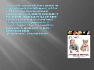 La campaña, que también busca prevenir las enfermedades de trasmisión sexual, incluido el SIDA, se dirige especialmente a la población extranjera residente en las islas, ya que los datos indican que un 45,8 por ciento del total de los abortos voluntarios fueron correspondieron a mujeres que, en su mayoría, llegaron a España en los últimos cuatro años. Y, de esa parte, un 58,8% provenían de países iberoamericanos, puntualizó Buades