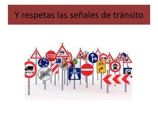 Y respetas las señales de tránsito
 