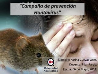 “Campaña de prevención
Hantavirus”
Nombre: Karina Cuevas Oses.
Docente: Pilar Pardo.
Fecha: 06 de Mayo, 2014.
 