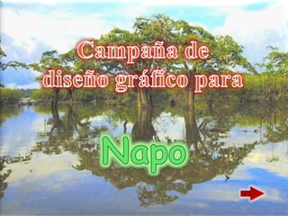 Campaña de  diseño gráfico para Napo 