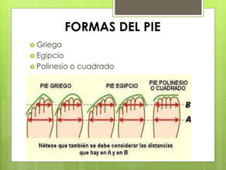 FORMAS DEL PIE 
 Griego 
 Egipcio 
 Polinesio o cuadrado 
 