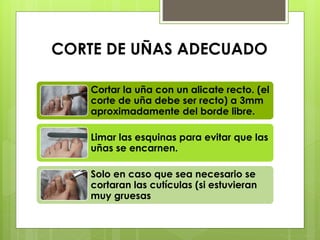 CORTE DE UÑAS ADECUADO 
Cortar la uña con un alicate recto. (el 
corte de uña debe ser recto) a 3mm 
aproximadamente del borde libre. 
Limar las esquinas para evitar que las 
uñas se encarnen. 
Solo en caso que sea necesario se 
cortaran las cutículas (si estuvieran 
muy gruesas 
 