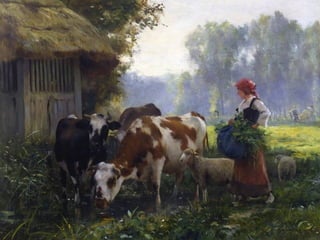 Campagne