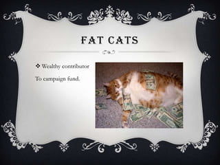 FAT CATS

? Wealthy contributor

To campaign fund.
 