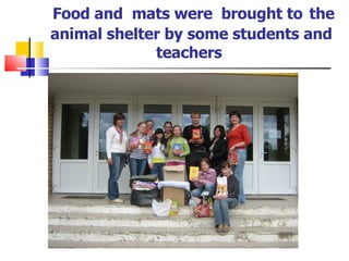 Food and  mats were  brought to   the   animal shelter by some students and teachers  