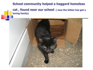 School community helped a haggard homeless cat , found near our school   ( now the kitten has got a loving family) 