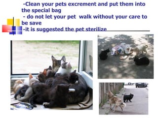 -Clean your pets excrement and put them into the special bag  - do not let your pet  walk without your care to be save  -it is suggested the pet sterilize 