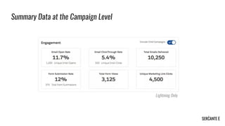 Summary Data at the Campaign Level
 