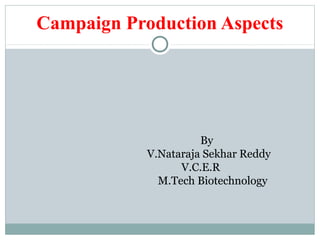 Campaign Production Aspects
By
V.Nataraja Sekhar Reddy
V.C.E.R
M.Tech Biotechnology
 