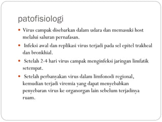 patofisiologi
 Virus campak disebarkan dalam udara dan memasuki host
melalui saluran pernafasan.
 Infeksi awal dan replikasi virus terjadi pada sel epitel trakheal
dan bronkhial.
 Setelah 2-4 hari virus campak menginfeksi jaringan limfatik
setempat.
 Setelah perbanyakan virus dalam limfonodi regional,
kemudian terjadi viremia yang dapat menyebabkan
penyebaran virus ke organorgan lain sebelum terjadinya
ruam.
 