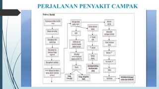 PERJALANAN PENYAKIT CAMPAK
 