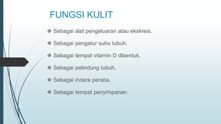 FUNGSI KULIT
❖ Sebagai alat pengeluaran atau ekskresi.
❖ Sebagai pengatur suhu tubuh.
❖ Sebagai tempat vitamin D dibentuk.
❖ Sebagai pelindung tubuh.
❖ Sebagai indera peraba.
❖ Sebagai tempat penyimpanan.
 