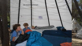 ENS ANAM DESPERTANT…
 